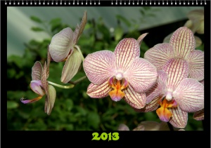 Kalender Blumen 2013