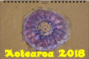 Kalender 2018 Aotearoa Flora und Fauna