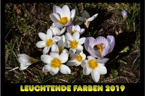 Kalender 2019 Leuchtende Farben