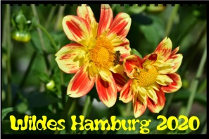 Kalender 2020 Wildes Hamburg