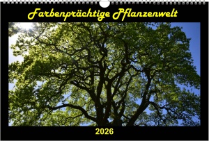 Kalender 2026 - Farbenpr&auml;chtige Pflanzenwelt